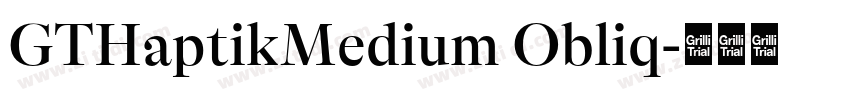 GTHaptikMedium Obliq字体转换